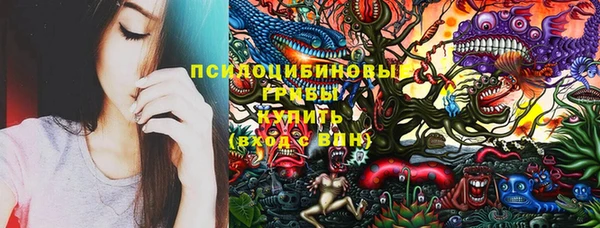 Альфа ПВП Верея