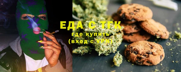 дмт Тайга