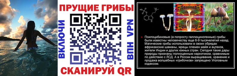 блэк спрут как зайти  Жигулёвск  Галлюциногенные грибы Magic Shrooms 